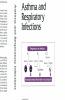 Asthma and Respiratory Infections