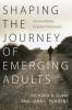 Shaping the Journey of Emerging Adults