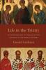 Life in the Trinity