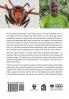 The Asian Hornet: Threats Biology & Expansion
