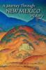 A Journey Through New Mexico History (Hardcover)