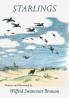 Starlings