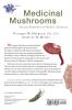 Medicinal Mushrooms