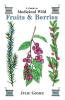 A Guide to Medicinal Wild Fruits & Berries