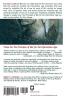 The Principles of War for the Information Age