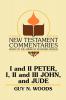 I and II Peter I II and III John and Jude