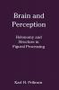 Brain and Perception