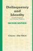 Delinquency and Identity: Delinquency in an American Chinatown