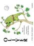 Oliver A Story About Adoption - Updated (hardcover)