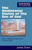 The Mediatorial Glories of The Son of God