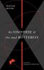 The Universe and the Mad Butterfly