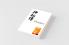 Reiki Master Manual (Shinpiden)