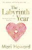 The Labyrinth Year: Art science and losing your way: Two (The Mullins Family Saga)