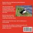 Lundi the Lost Puffin
