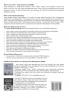 Value Added Auditing