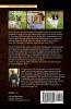Disposable Animals: The Harms We Inflict & How We Stop