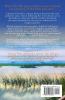 Bridge to Us: A Love Lost and Found Novel