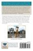 What It Means: Myth Symbol and Archetype in the Third Millennium Vol. 1 (Volume)