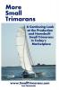 More Small Trimarans