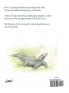 The Kookaburra That Could