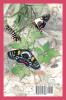 Create More Butterflies: A Guide to 48 butterflies and their host-plants for South-east Queensland and Northern New South Wales
