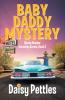 Baby Daddy Mystery: 2 (Shady Hoosier Detective Agency)