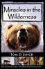 Miracles In The Wilderness: Action Packed Adventure High Speed Crashes Alaska/Canada Wolf Grizzly Moose Attacks.