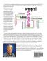 Twenty Key Ideas in Beginning Calculus