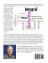 Twenty Key Ideas in Beginning Calculus