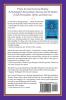 The Practice of Soul-Centered Healing - Vol. I: Protocols and Procedures