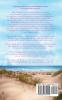 Hamptons Surprise: A Women's Fiction Novel: 1 (Beachcomber Dreams)