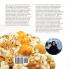 Little Choux Temptations