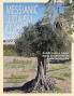 Messianic Judaism Class Teacher Book