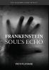 Frankenstein Soul's Echo