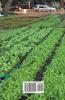 On the Importance of Small Farms in Michigan