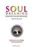 SOUL DREAMING
