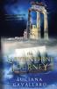 The Labyrinthine Journey: 2 (Servant of the Gods)