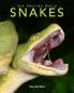 Snakes