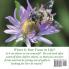 I Am Wonderfully Me: Positive Affirmations for Me! Volume 1
