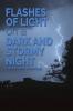 Flashes of Light on a Dark and Stormy Night: A Flash Fiction Anthology