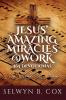 Jesus' Amazing Miracles (JAMS) @ Work 365 Day Devotional
