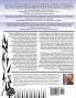The Backgammon Chronicles: A Pro's Adventures on Tour Volume 2 of 2