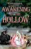Awakening in the Hollow: 2 (Godsfade)