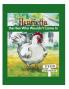 Henrietta the Hen Who Wouldn't Come In: 2 (ELM Grove Farm)