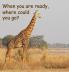 When you are ready where could you go?