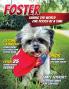 Foster: Saving the World One Pooch at a Time or 10 Other Ways You Can Help!