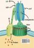 Medical Implications of Basic Research in Aging Volume 2