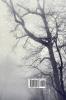 Avalanche of White Reason: The Photography & Writings of Aunia Kahn