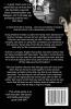 Deceitful Truths - A Cyber Crime Thriller