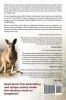 Baby Kangaroo Facts for Kids and Adults